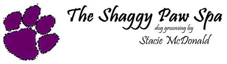 The Shaggy Paw Spa Logo - Stress-Free Grooming - Cedar Park, Texas